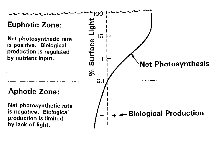 sunlit ocean zone